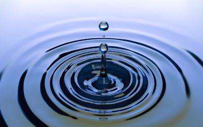 🎯Círculos concéntricos®: espacios de seguridad y perspectiva mayores