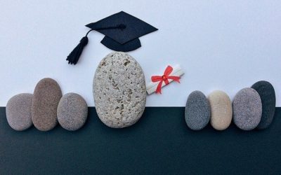 👩‍🎓Profesionalidad y erudición: La pócima de Astérix