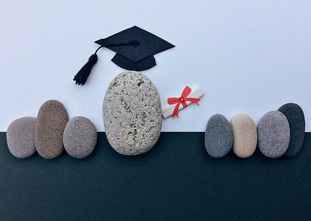 👩‍🎓Profesionalidad y erudición: La pócima de Astérix